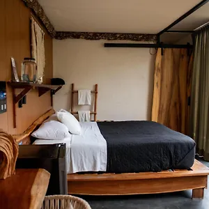 2* Hotell Bufo Alvarius