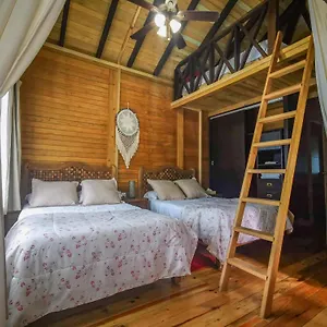 Alicat Tulum