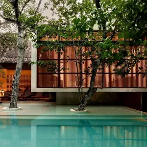 Jungle Keva & Venue Tulum