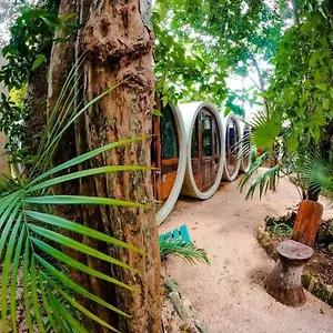  Albergue Tubo