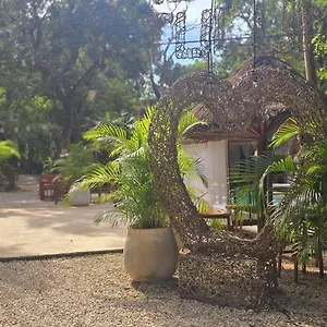 Kin Jungle Deluxe Maison d'hôtes